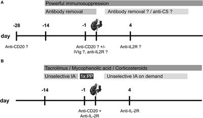 ABO-Incompatible Kidney Transplantation